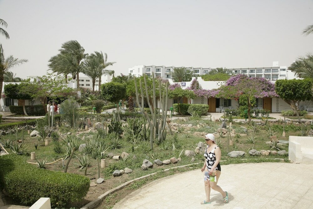 Фото 229400115934