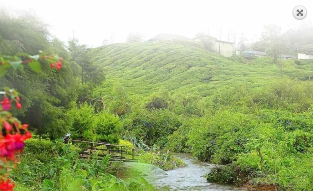 Фото Hotel C7 Munnar