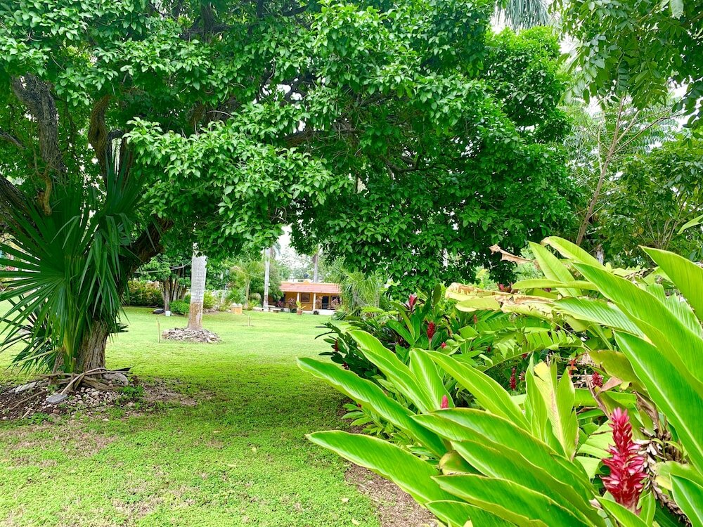 Фото Eco Hotel Green River