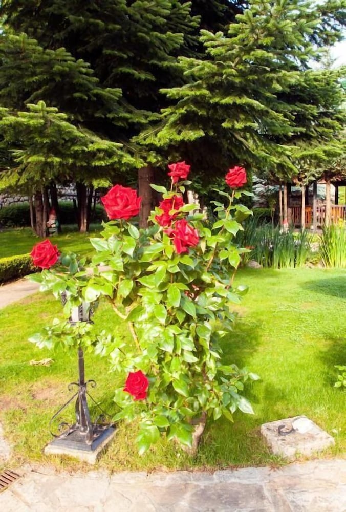 Фото Hotel Tanne