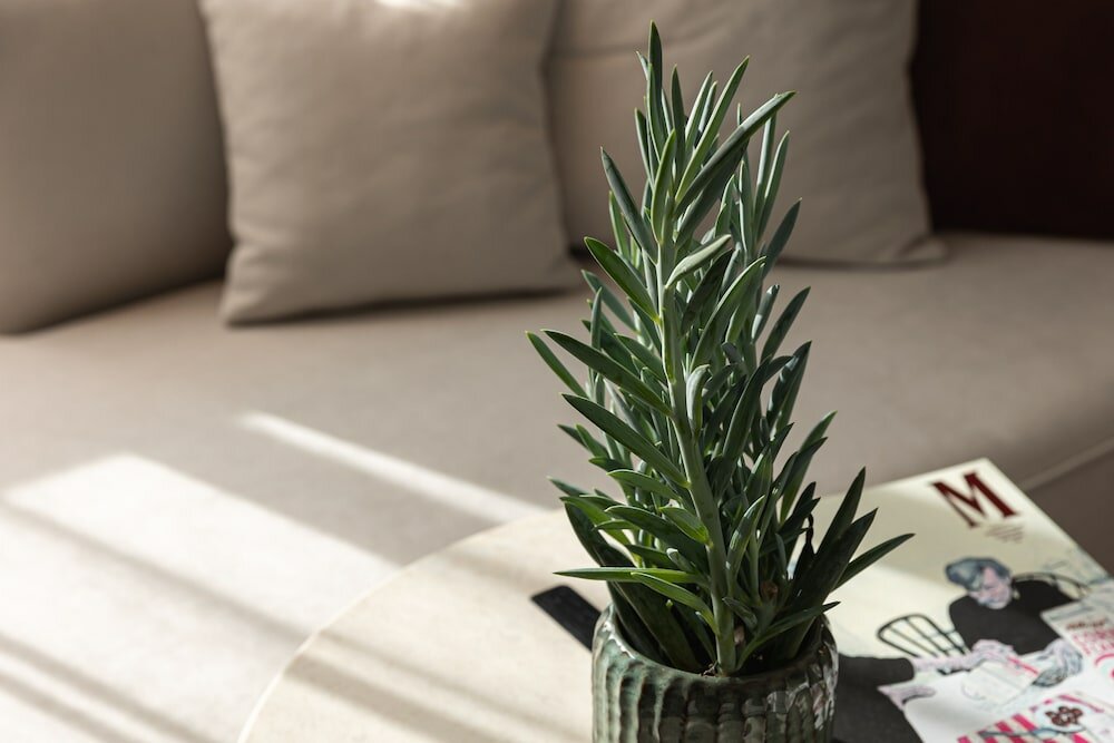 Фото Almanac X Alcron Prague