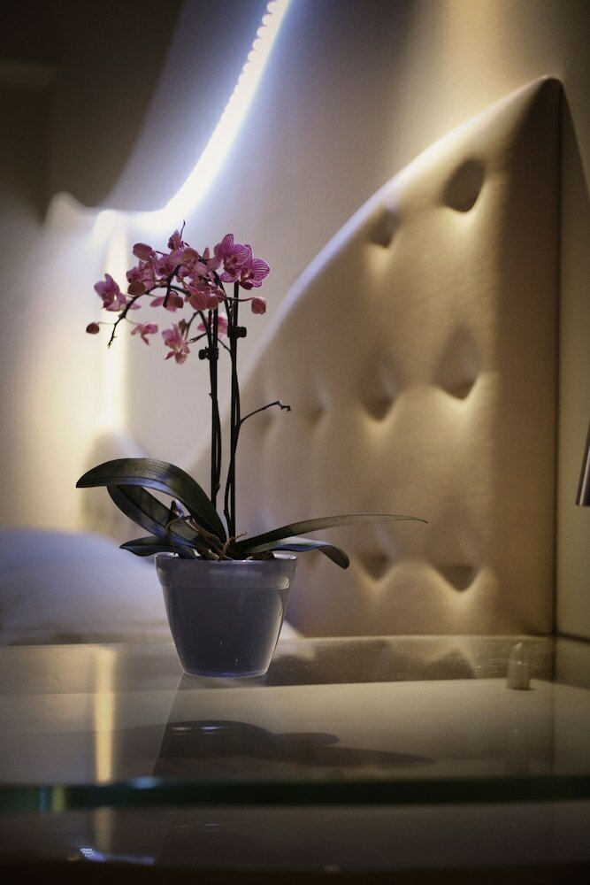 Фото Bellariva Feeling Hotel