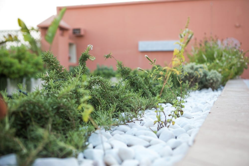 Фото Riad Villa Harmonie