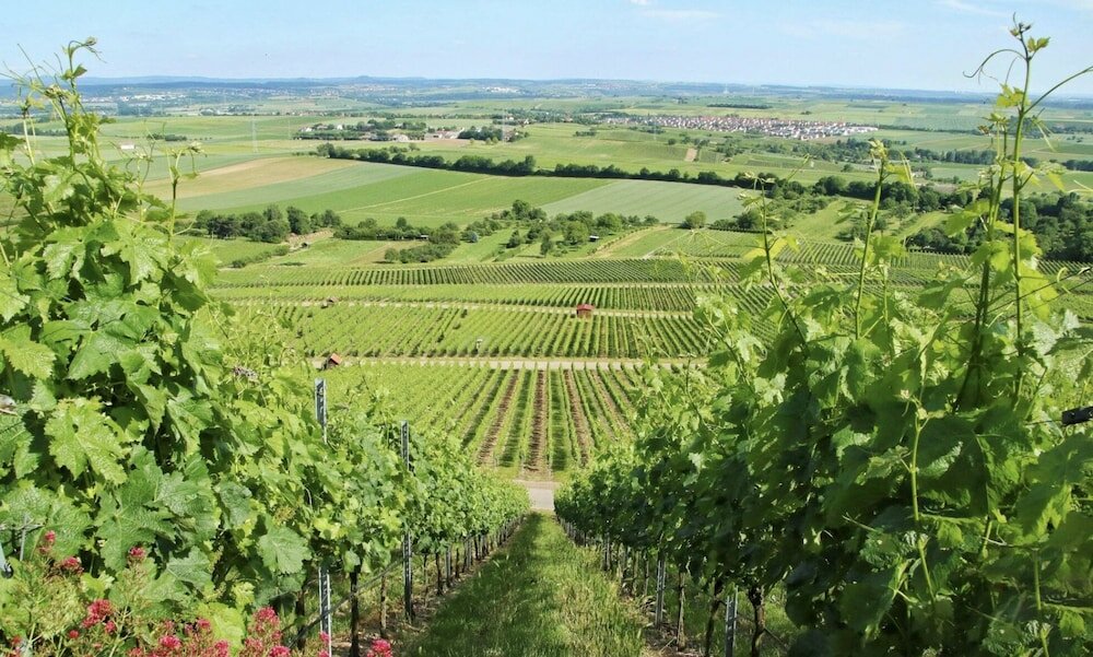 Фото Studio Inn Livermore