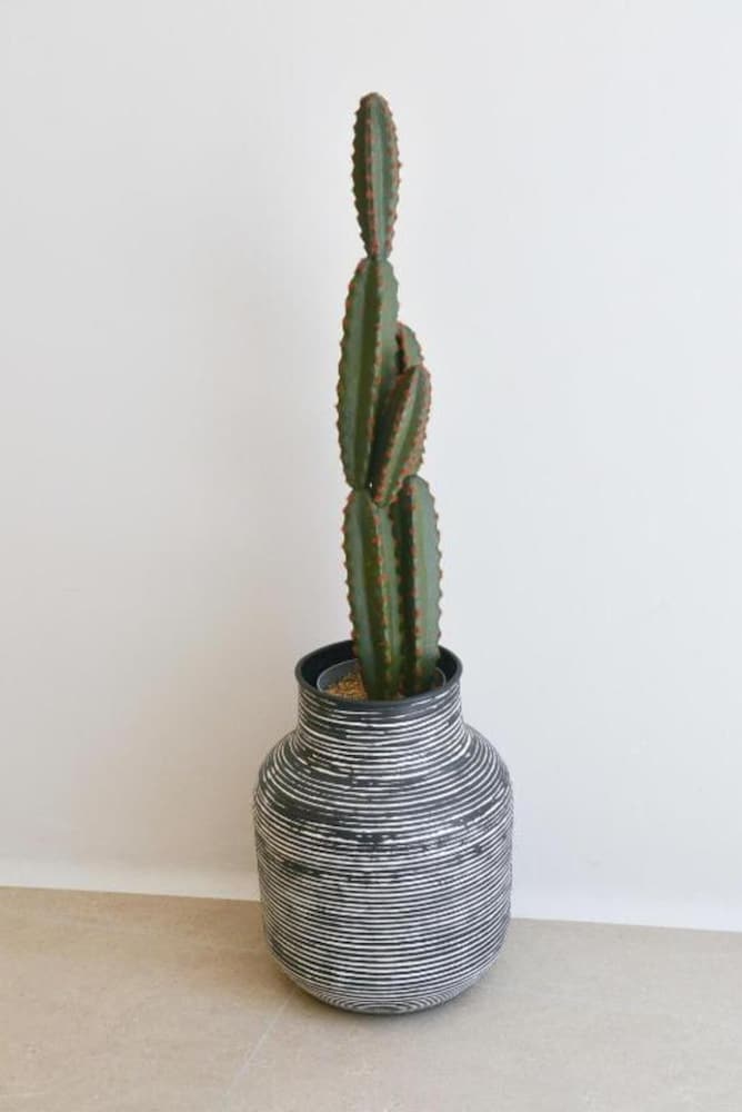 Фото Princess Mare Hotel