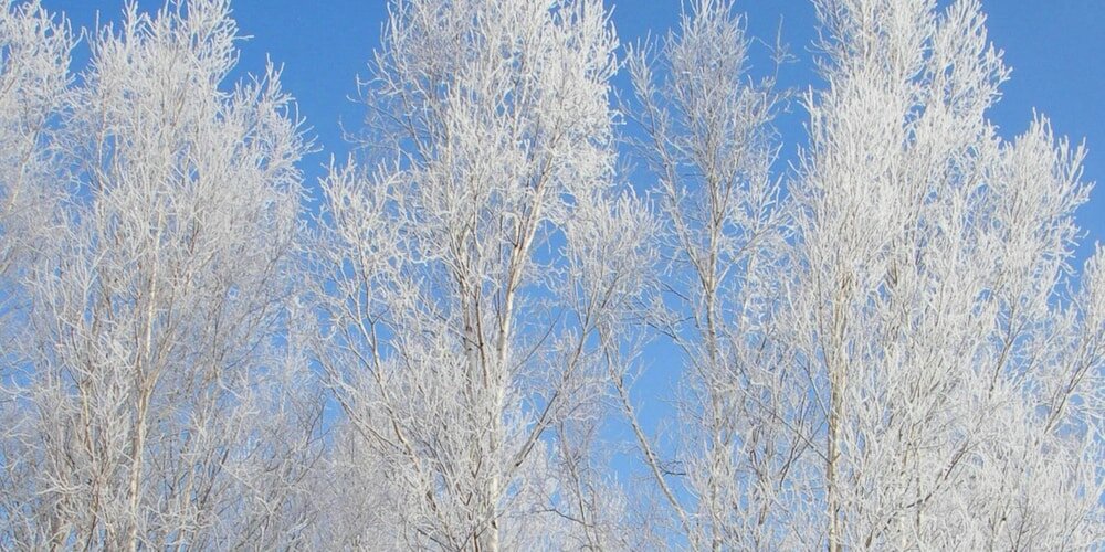 Фото Pension Hoshi Ni Negaiwo