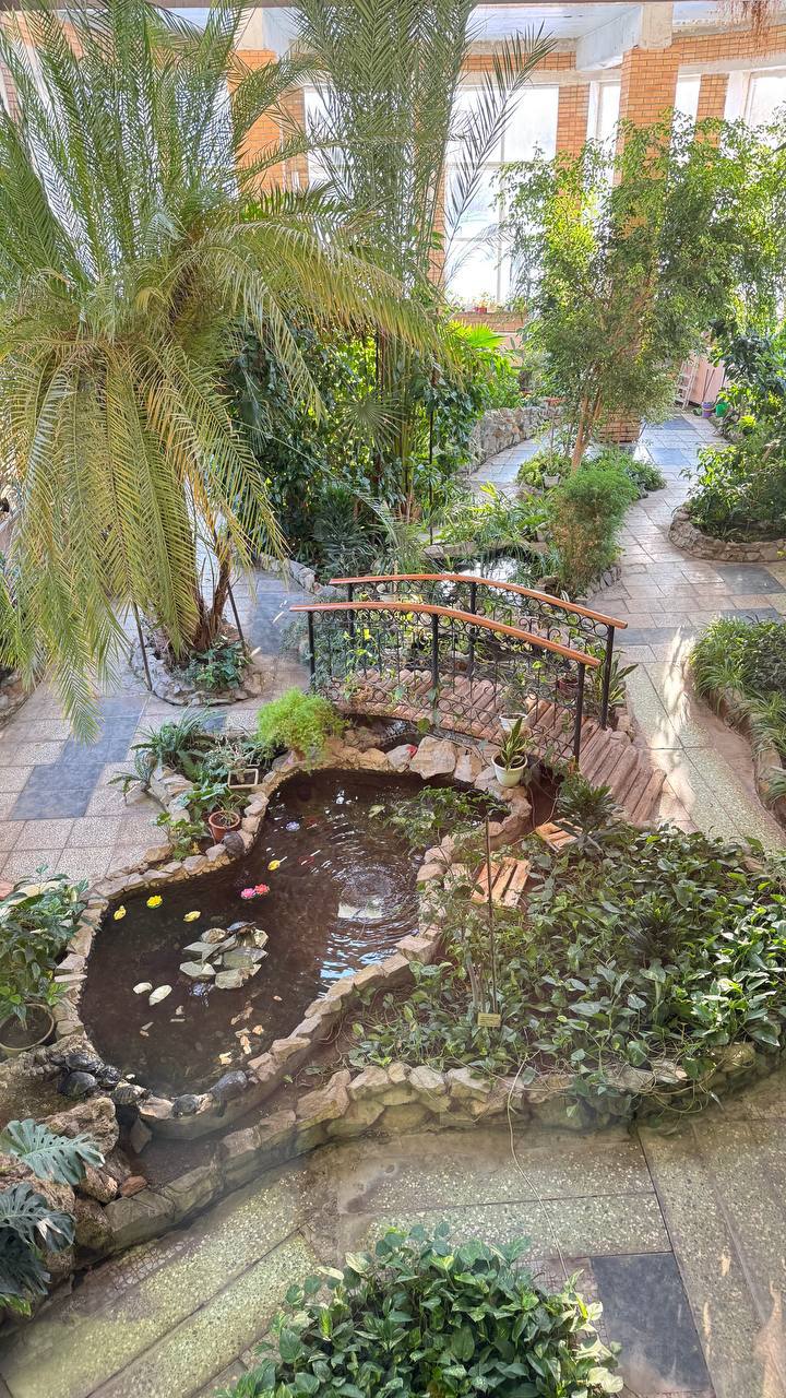 Фото Бодрость