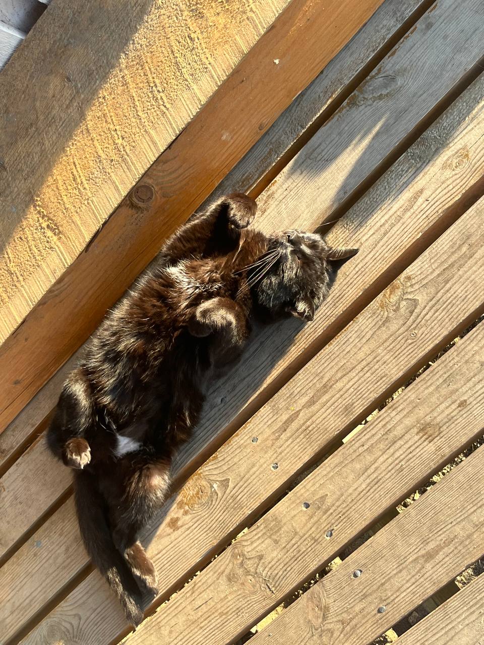 Фото Конюшенный двор