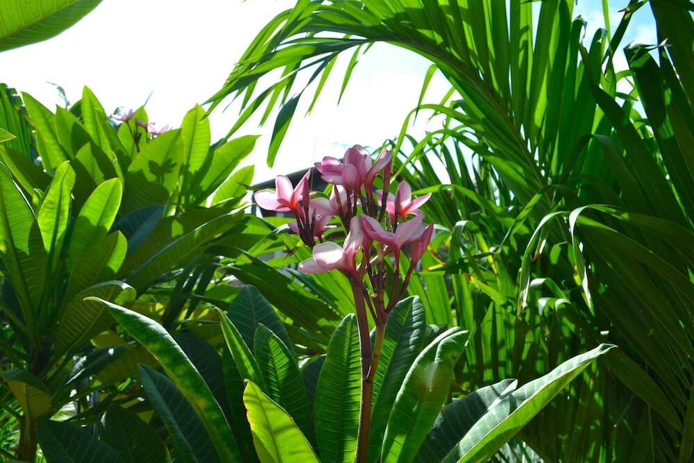 Фото Wonders Boutique Hotel