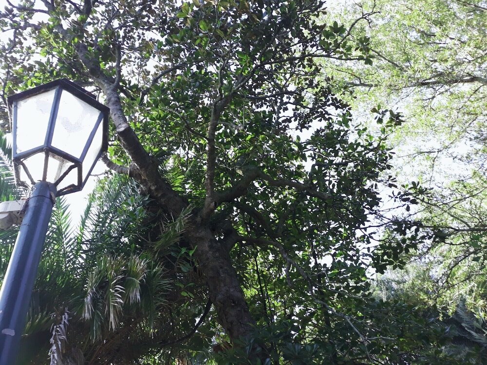 Фото Casa Do Jardim