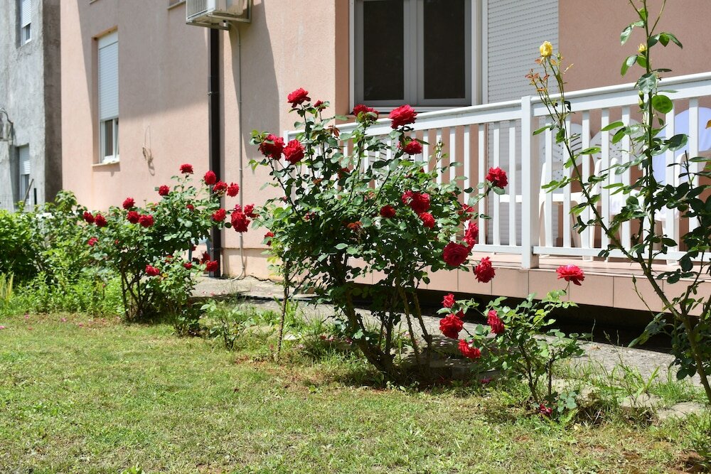 Фото Regina Mundi