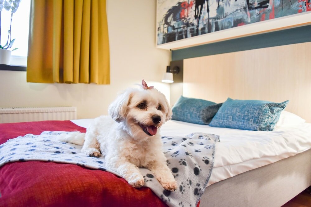 Фото Good Morning Mölndal