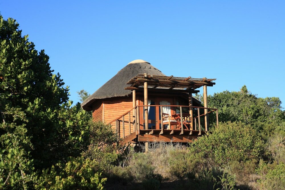 Фото Garden Route Game Lodge