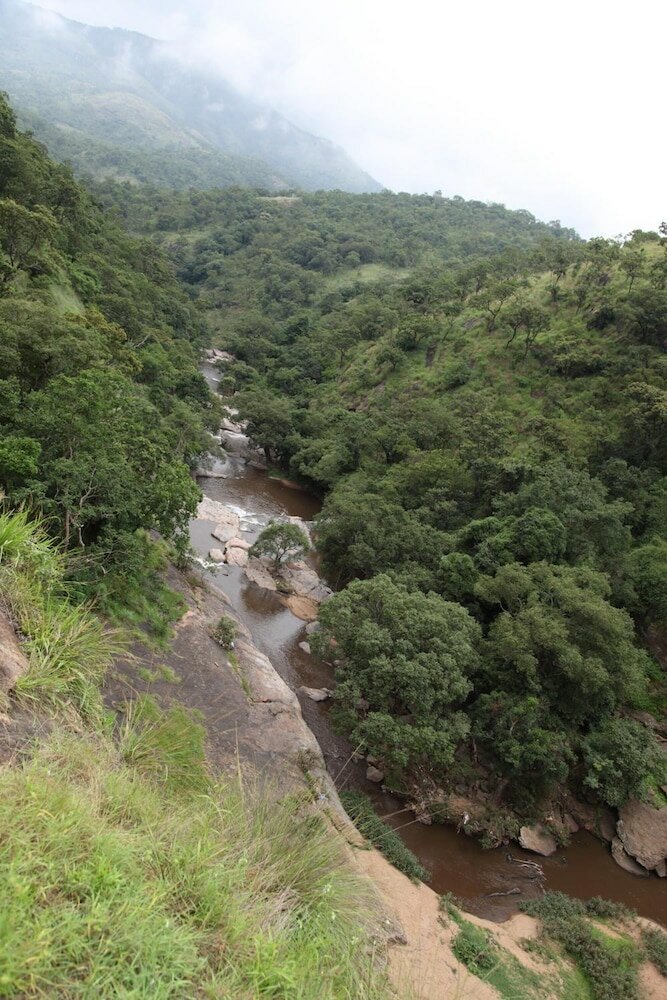 Фото Elephant Valley
