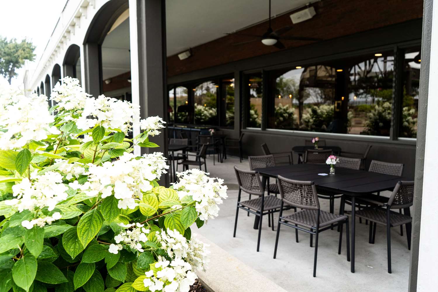 Фото Galt House Hotel Trademark Collection by Wyndham