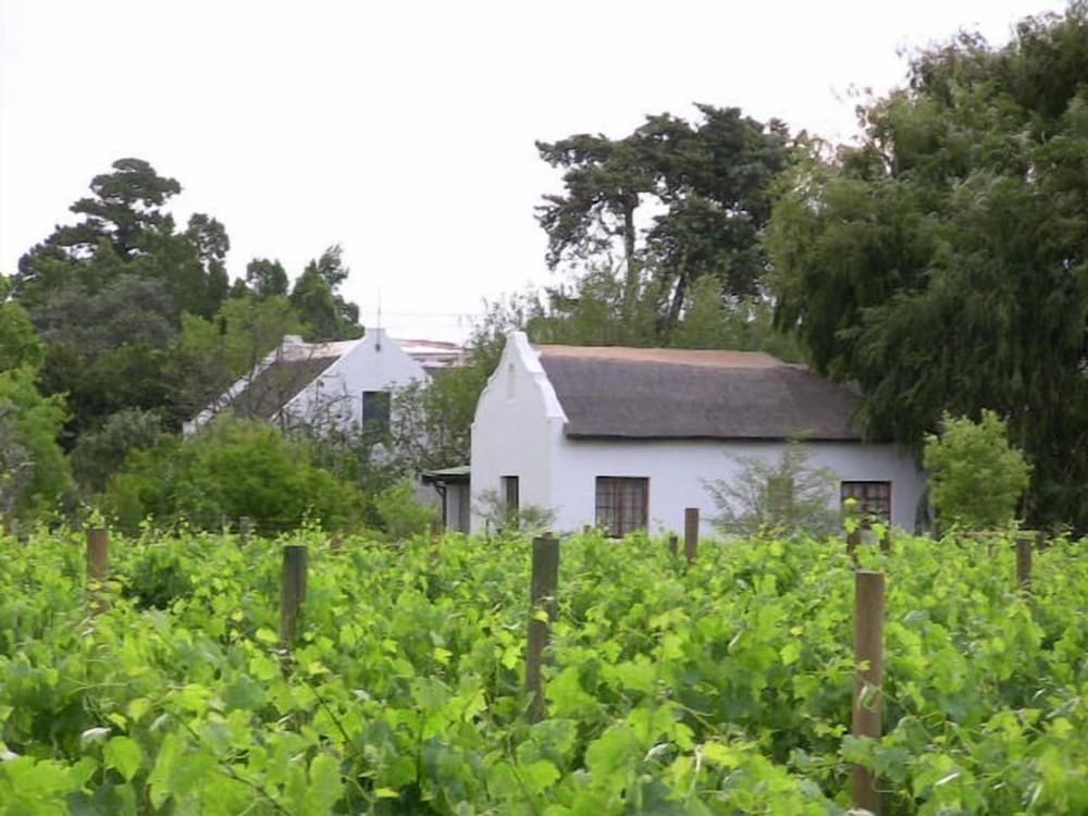 Фото De Doornkraal Vinotel