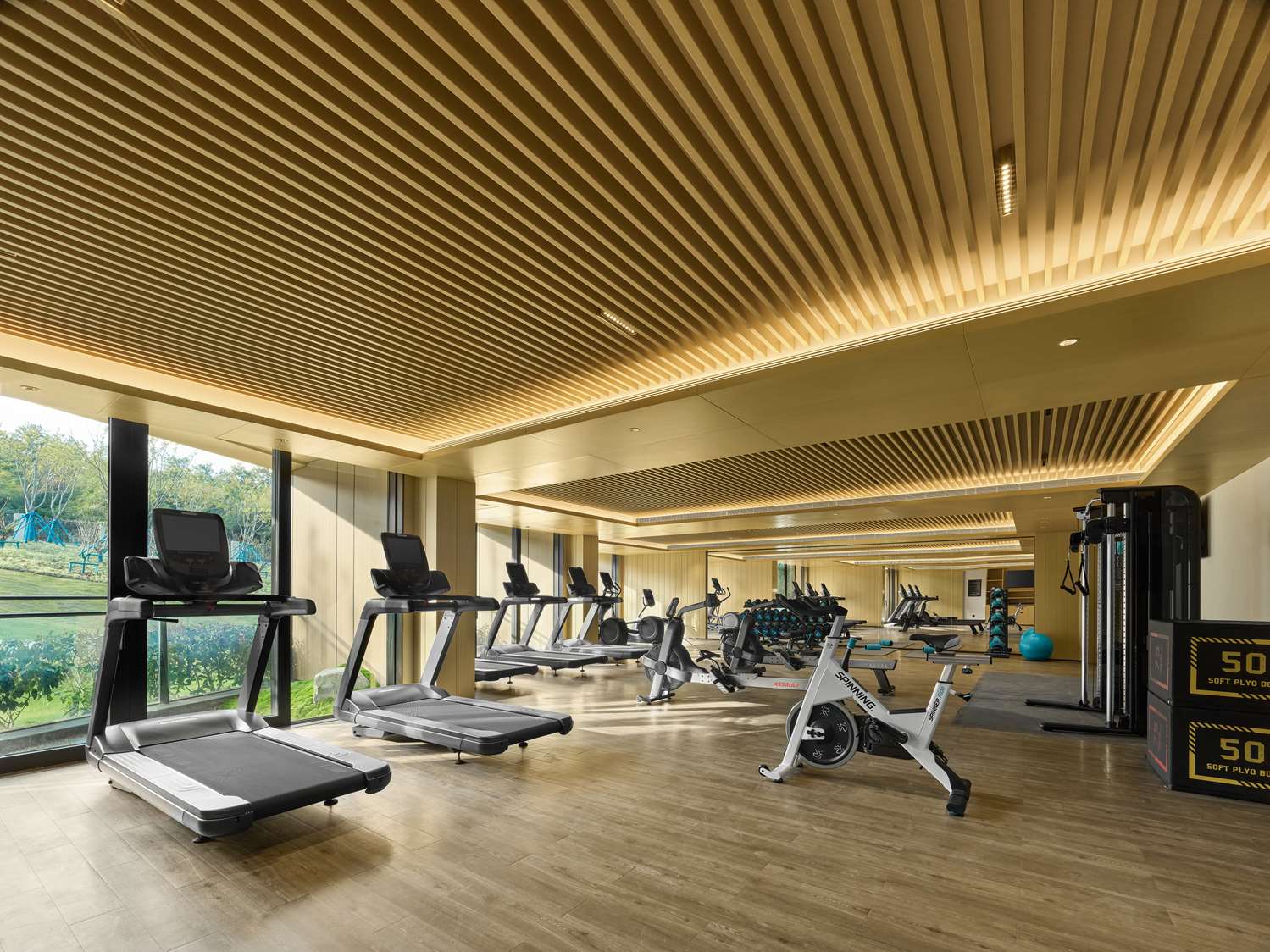 Фото Hilton Nanjing Niushoushan