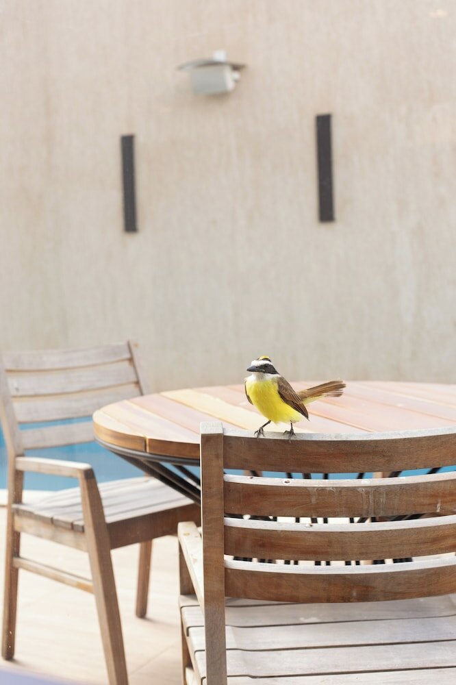 Фото Nobile Hotel Araripina