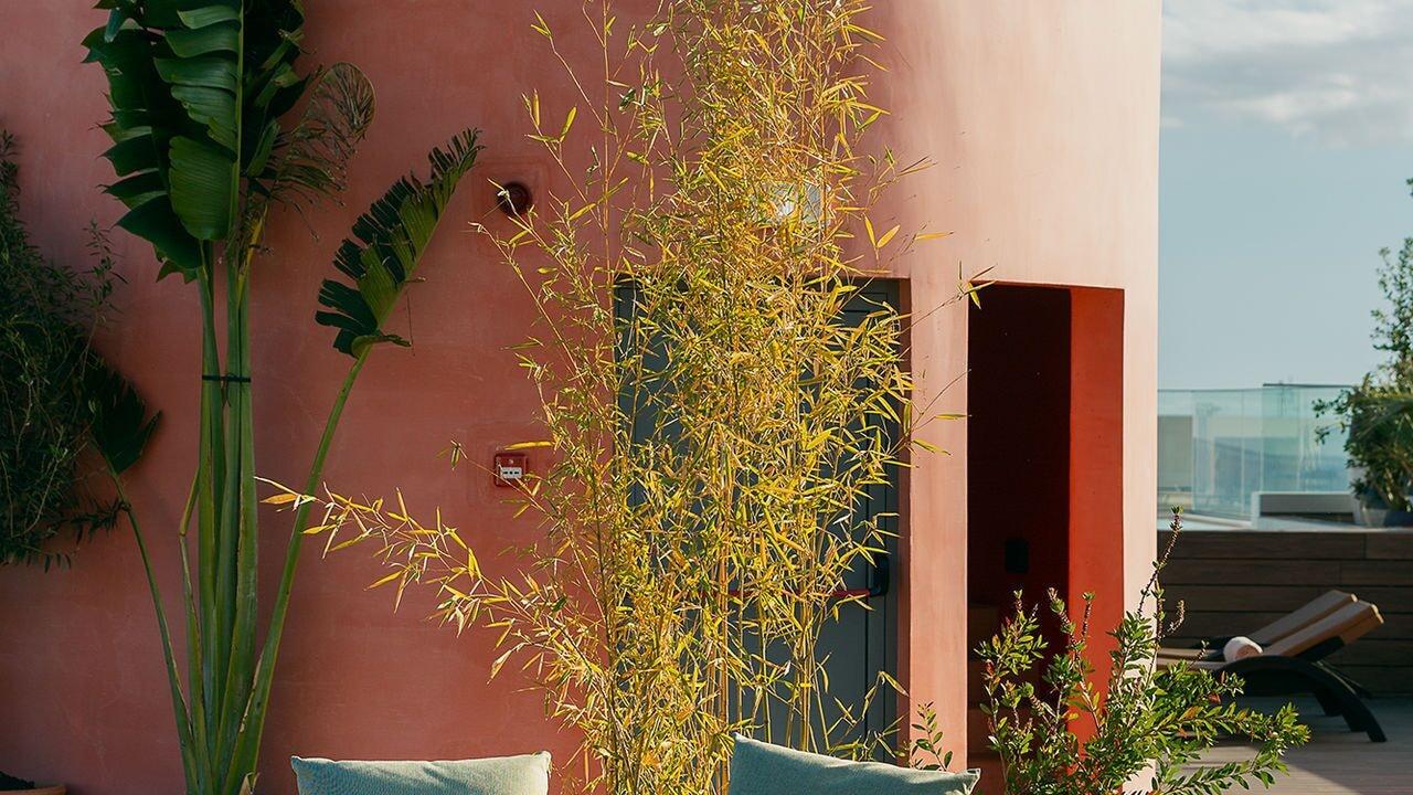 Фото Three House Hotel