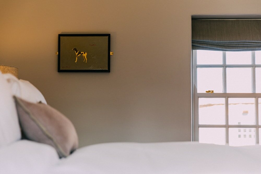 Фото The Pointer