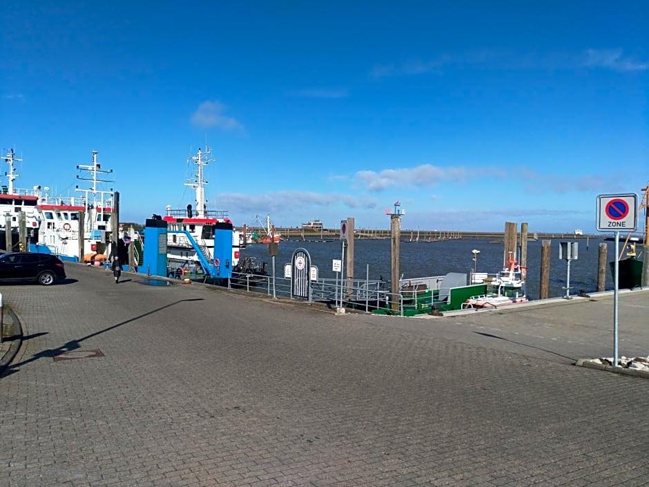 Фото Hotel Aquarius