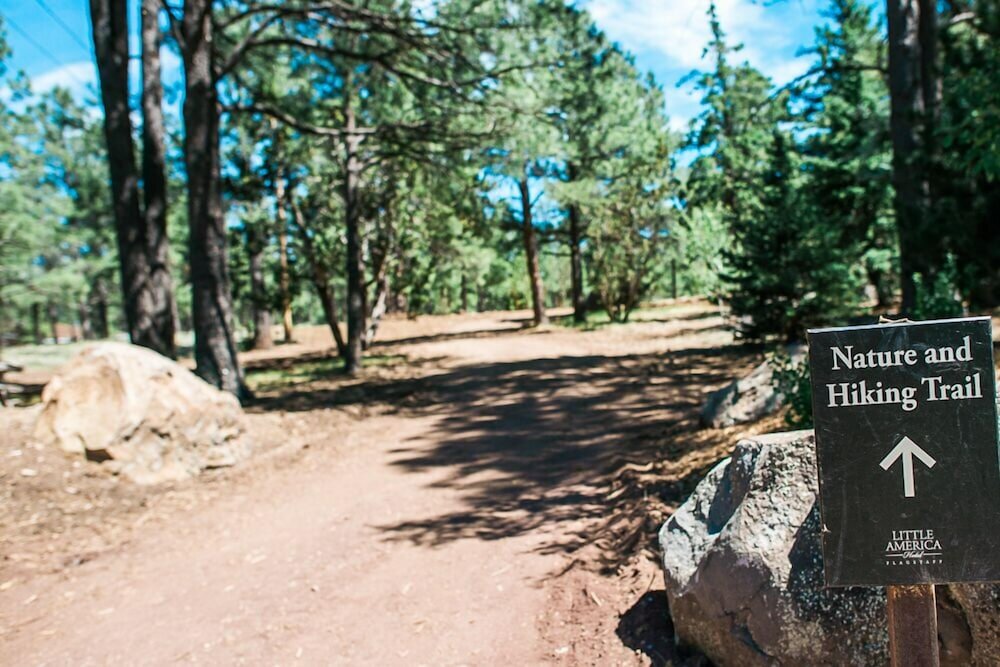 Фото Little America Flagstaff