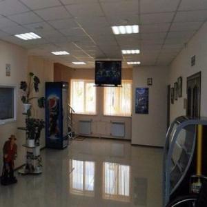 Фото Виталина