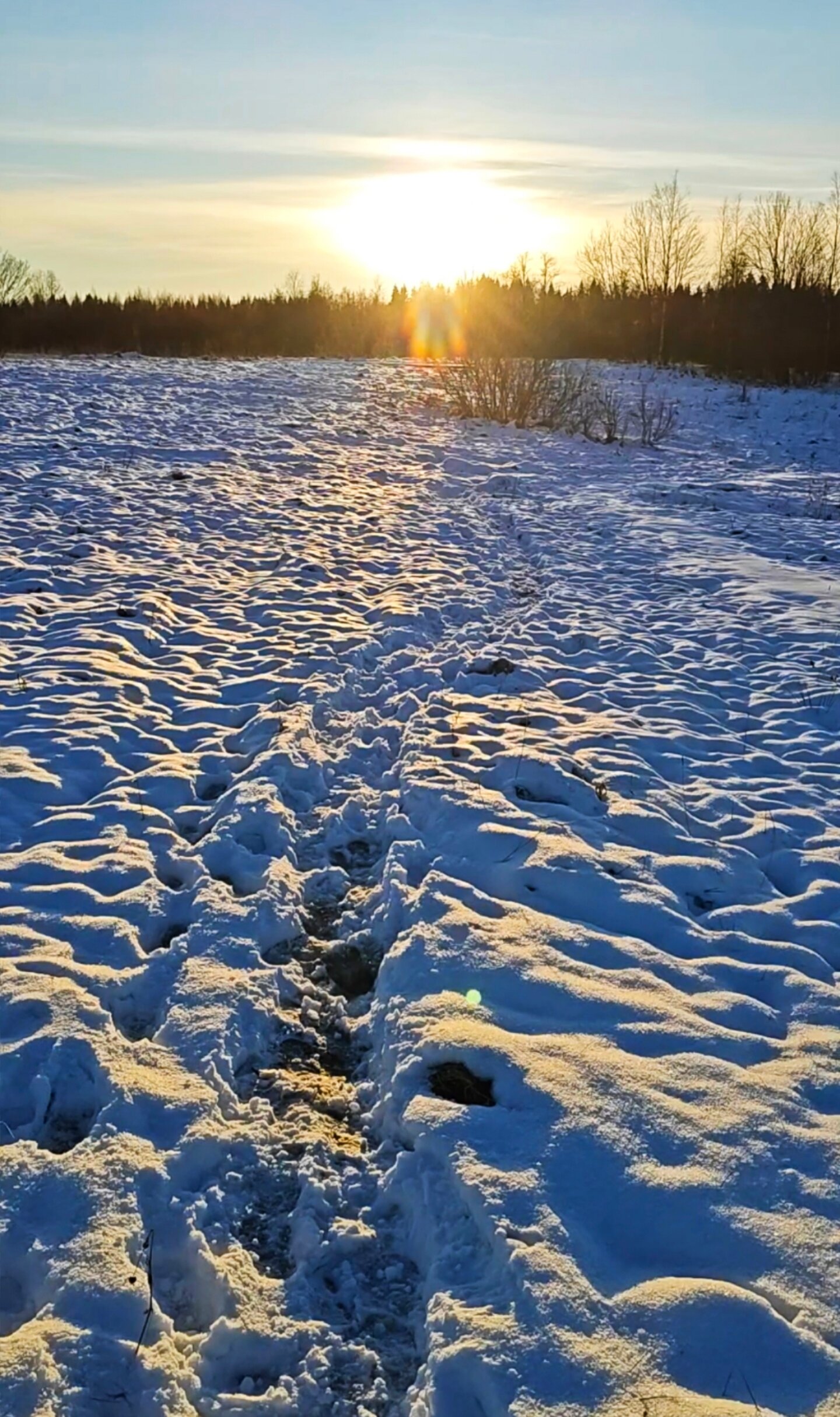 Фото Мыза Иногоща