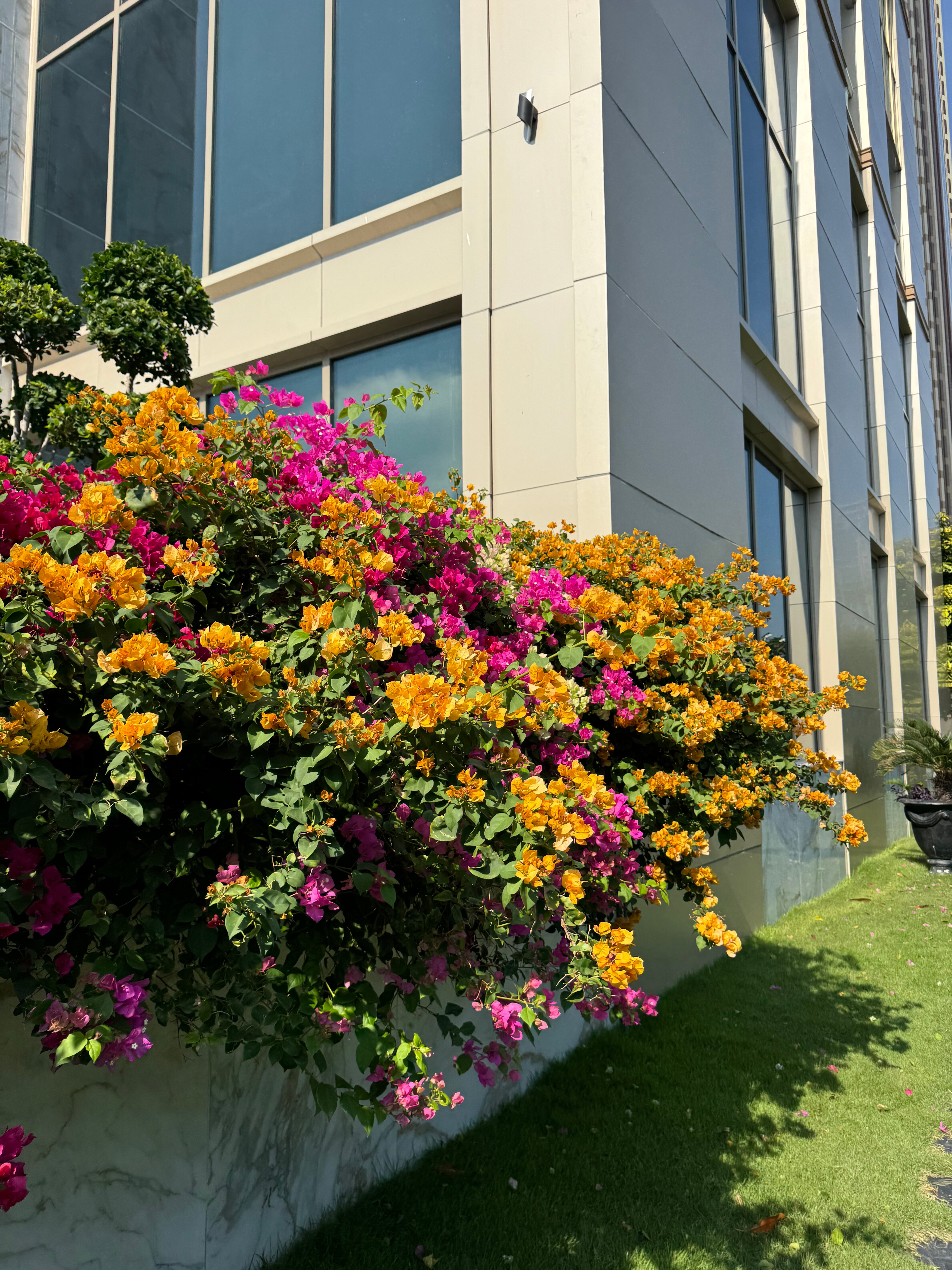 Фото Copacabana Jomtien Beach Condo