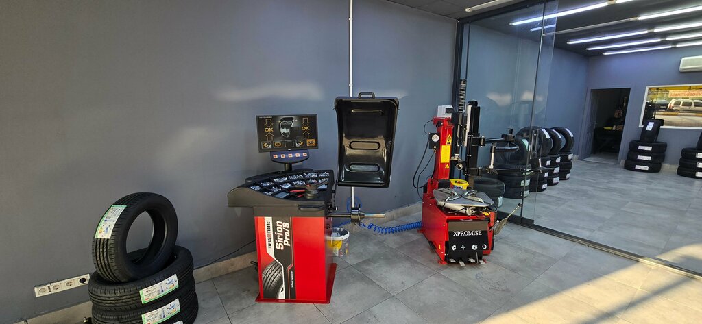 Car service, auto repair Pendik Lastikman Automotive - Continental - Michelin - Bridgestone - Goodyear - Lassa - Petlas - Hankook, Istanbul, photo