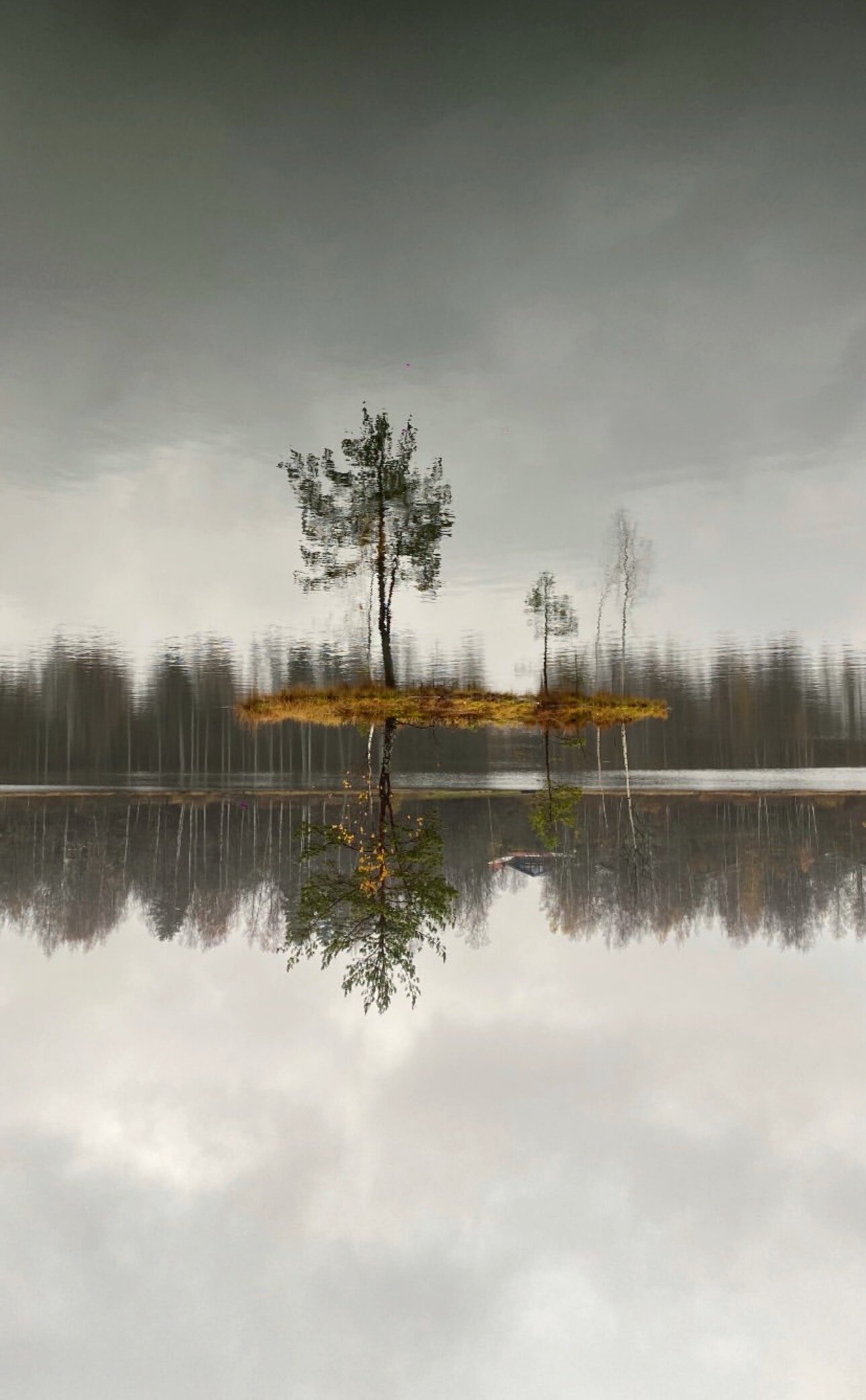 Фото Дом отдыха Зеркальный