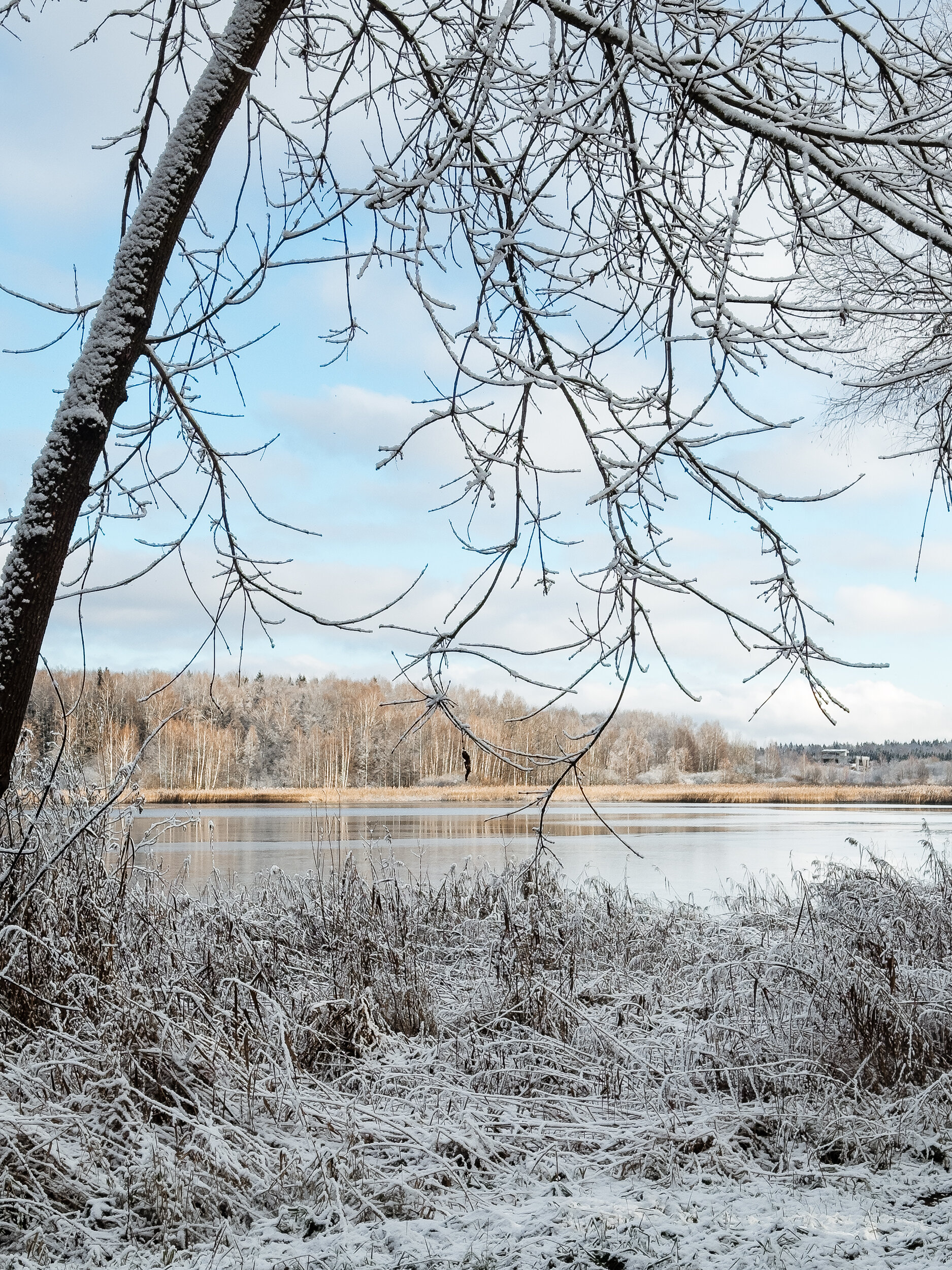 Фото Берег желаний