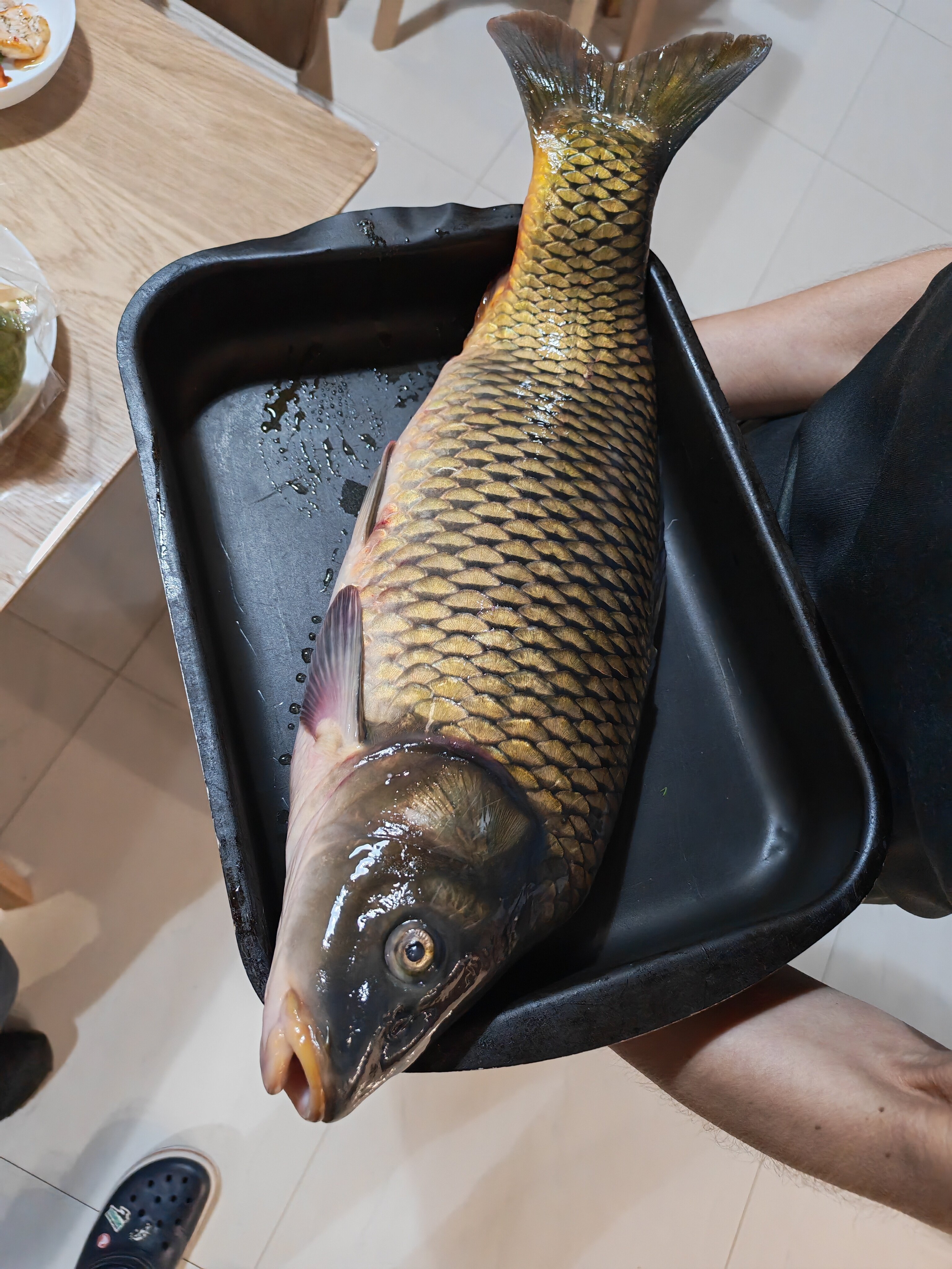 Фото 6 Квадратов