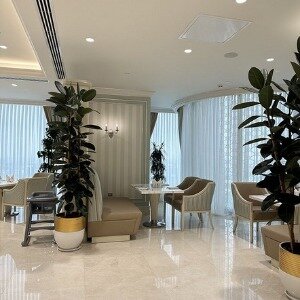 Фото T-city Presidential Hotel