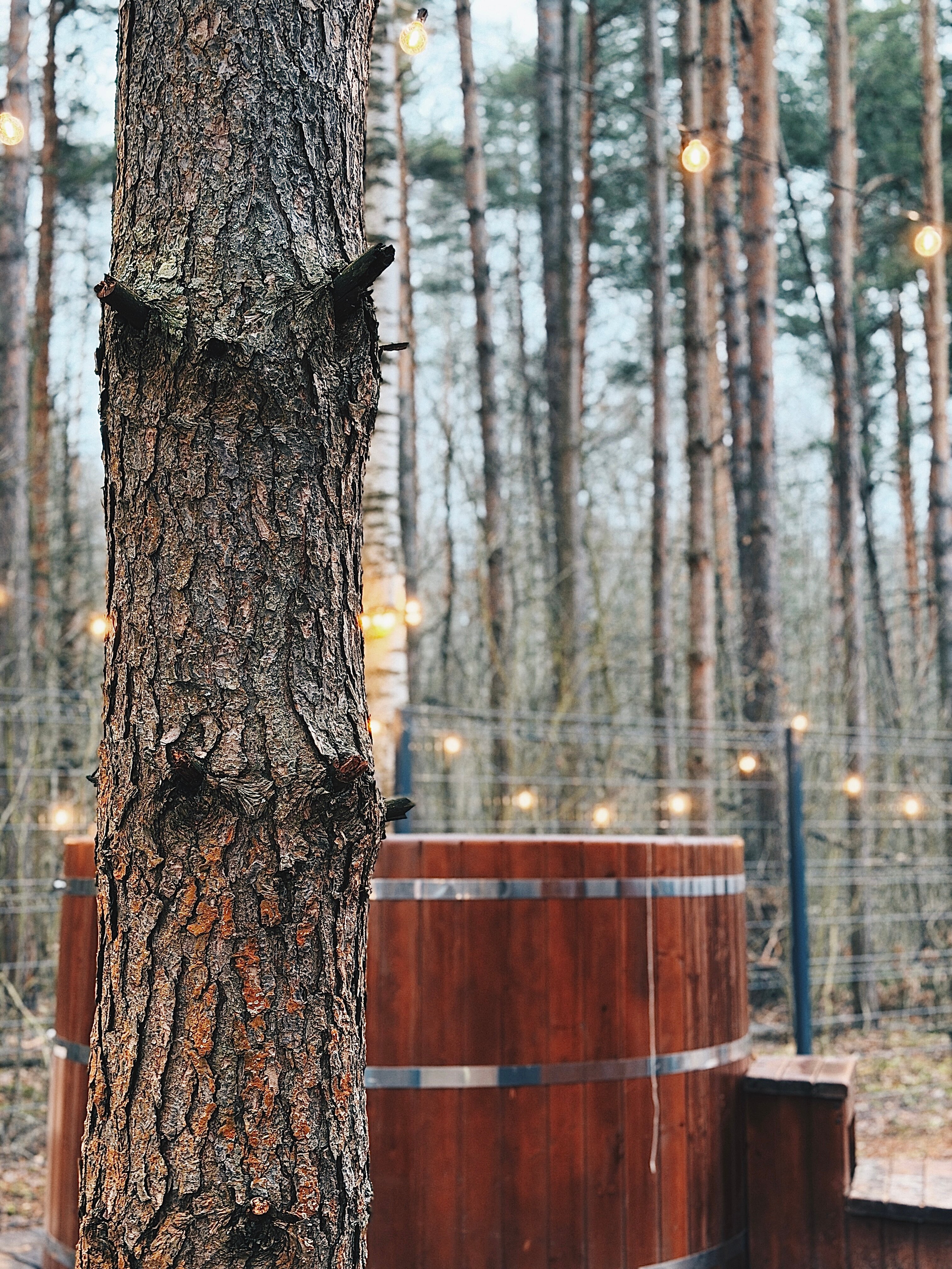 Фото Дубровка