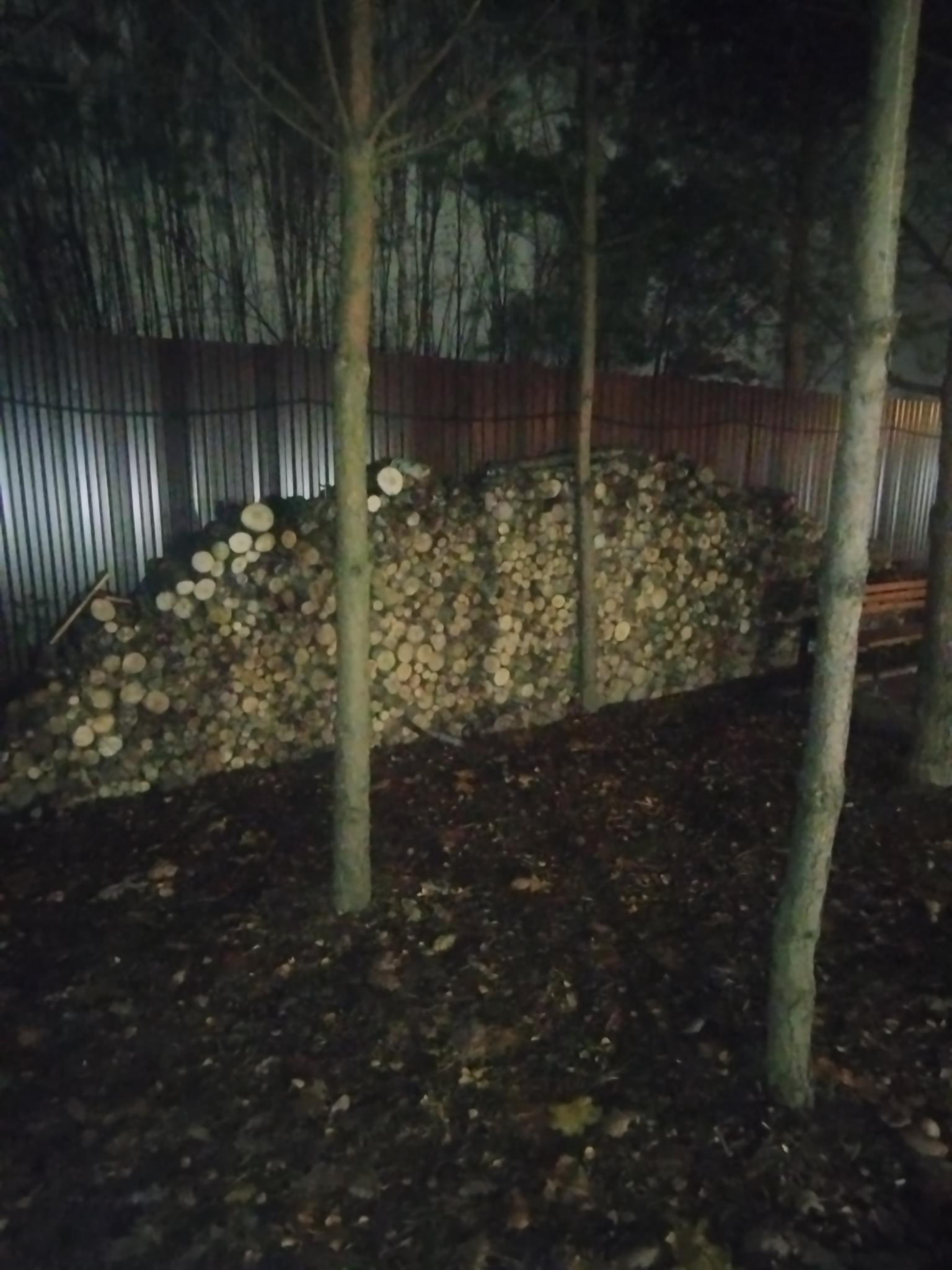 Фото Лесной Шереметьево