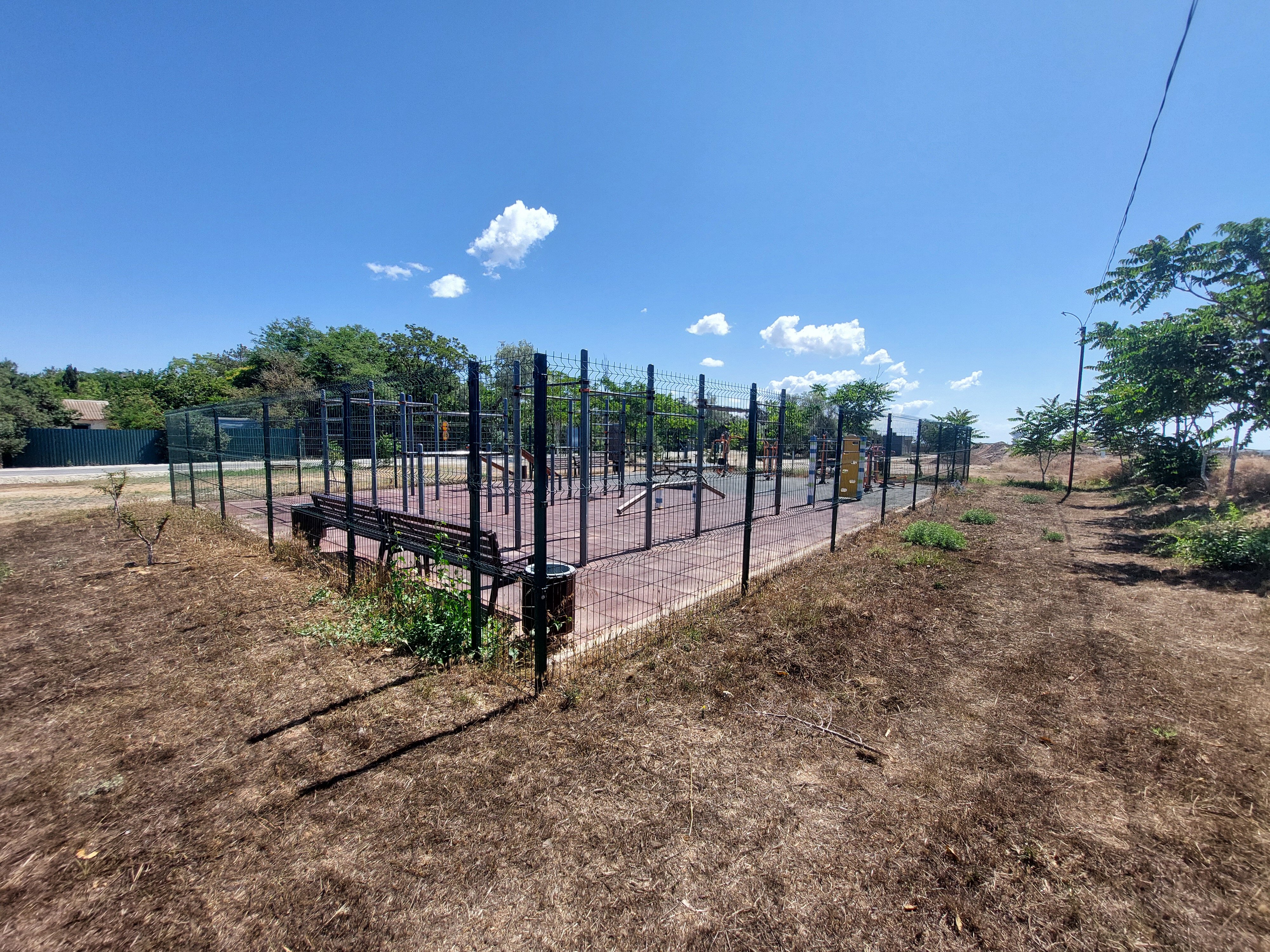 Фото Летний