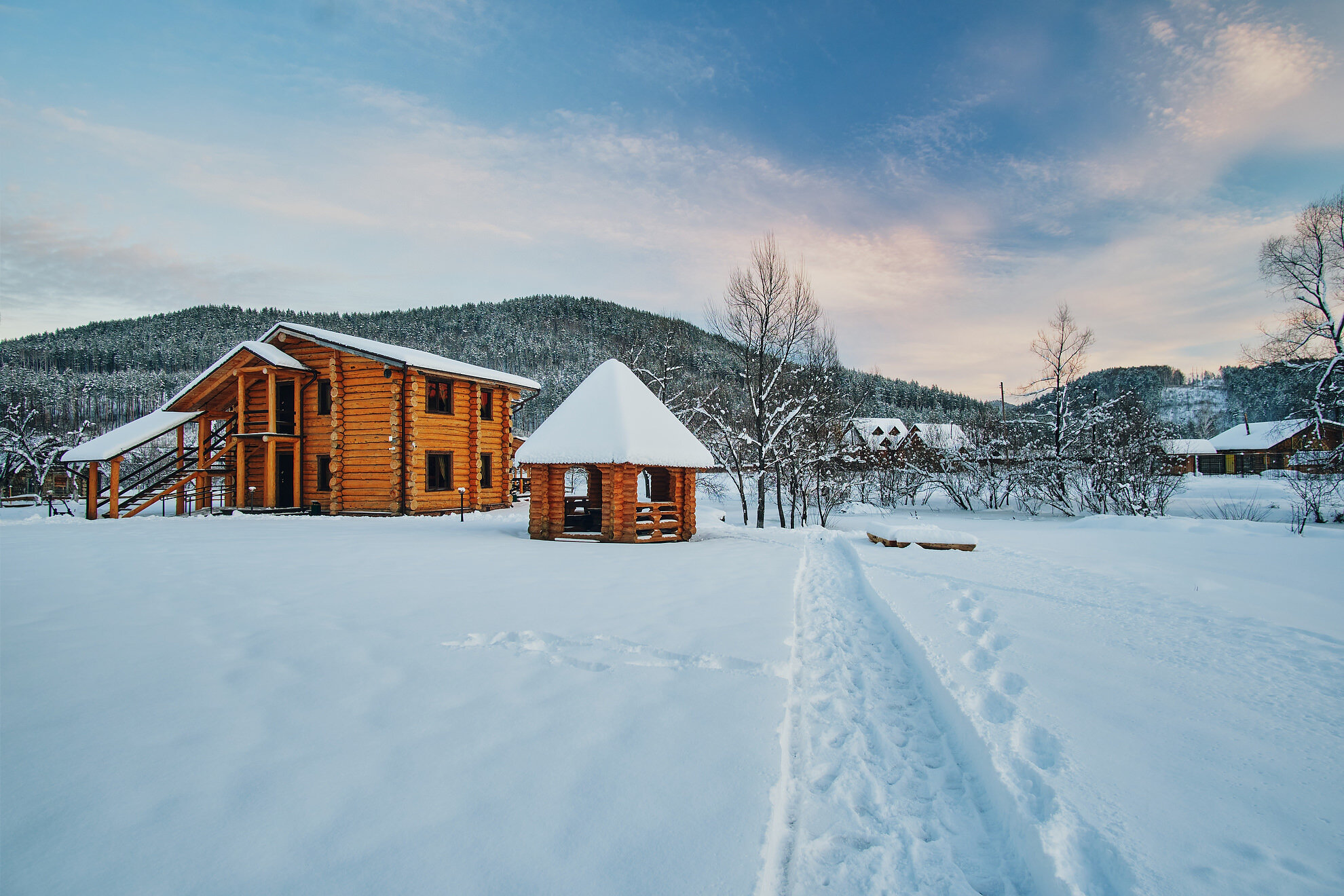 Фото Кедровый берег