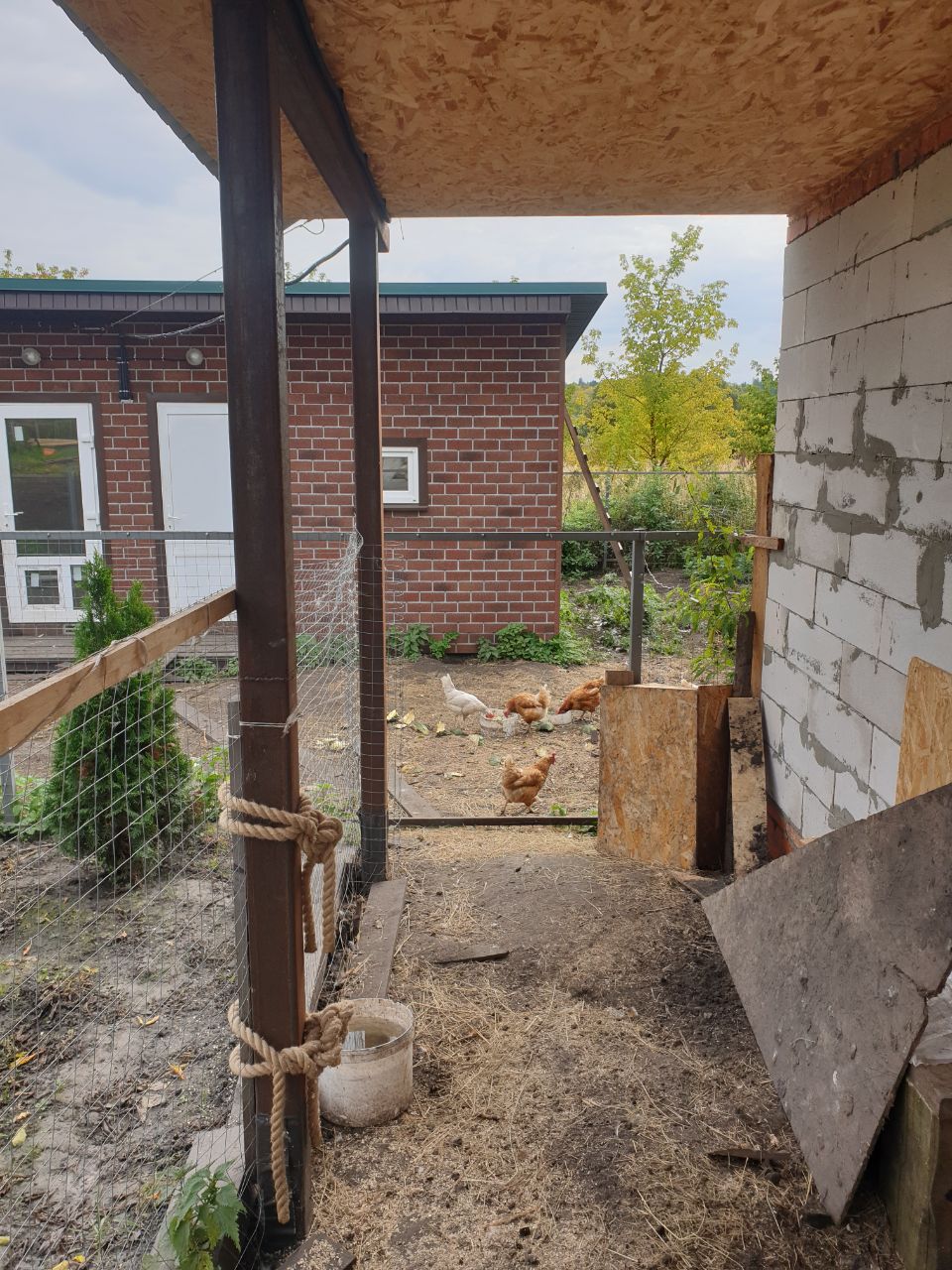 Фото Ахматовский домик