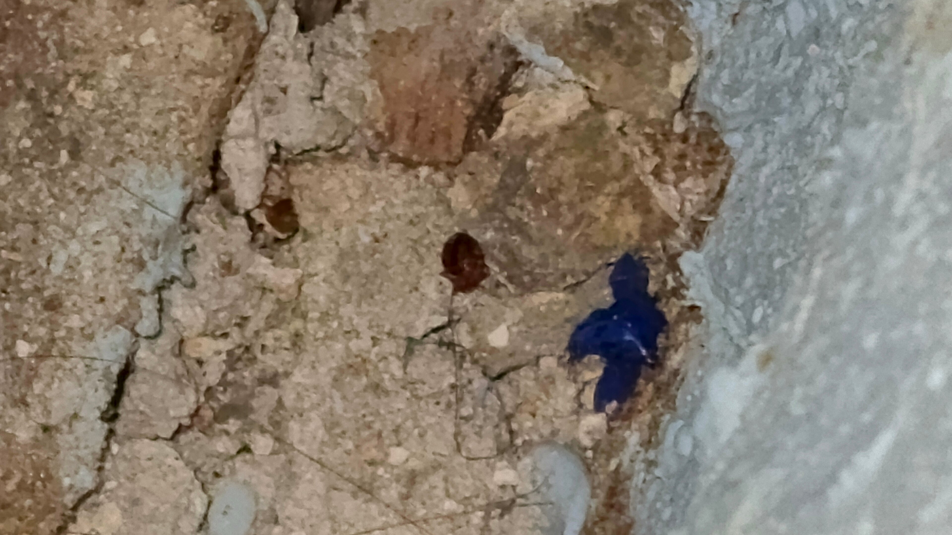 Фото Garden 22/2