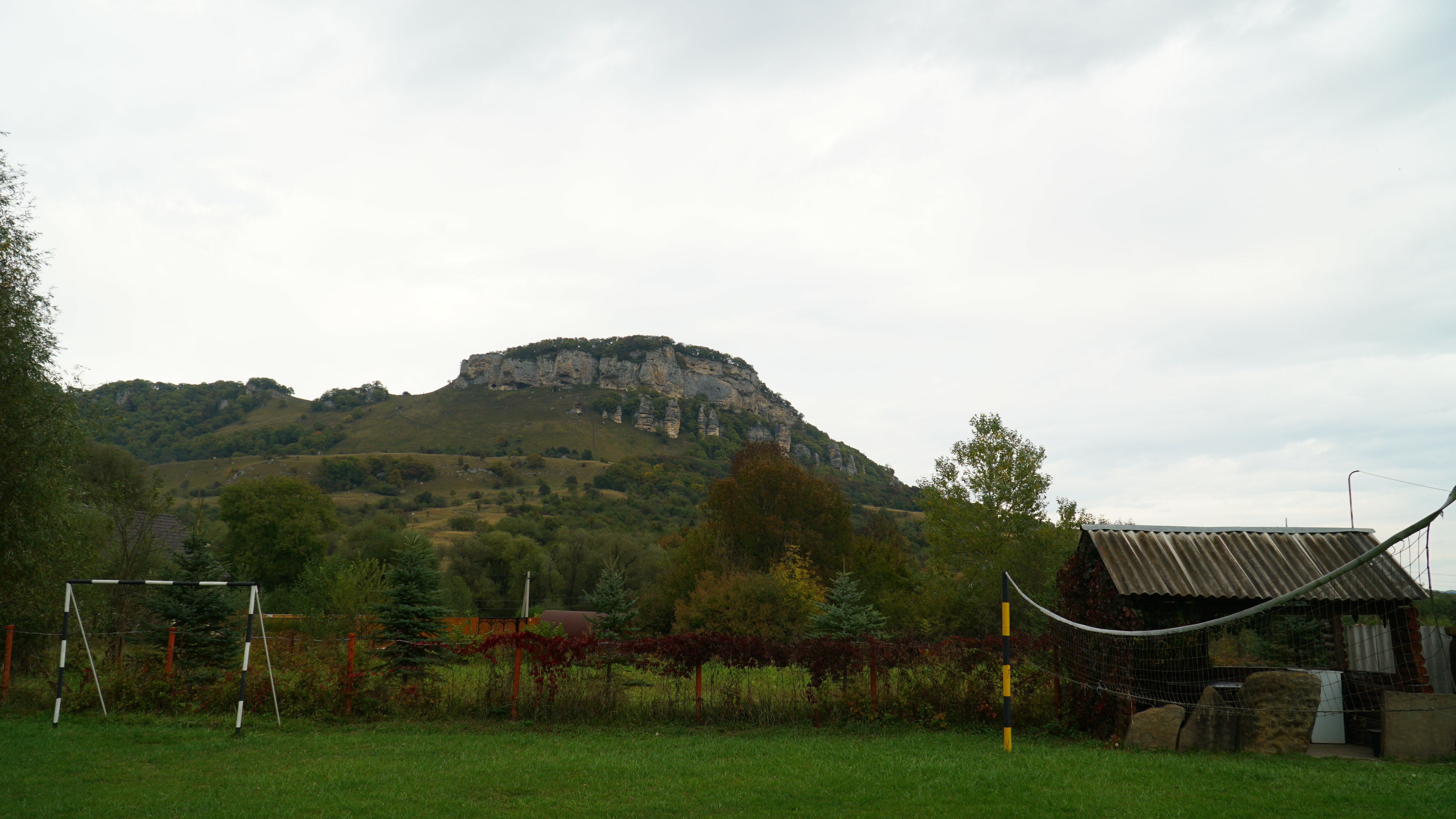 Фото Снежный Барс