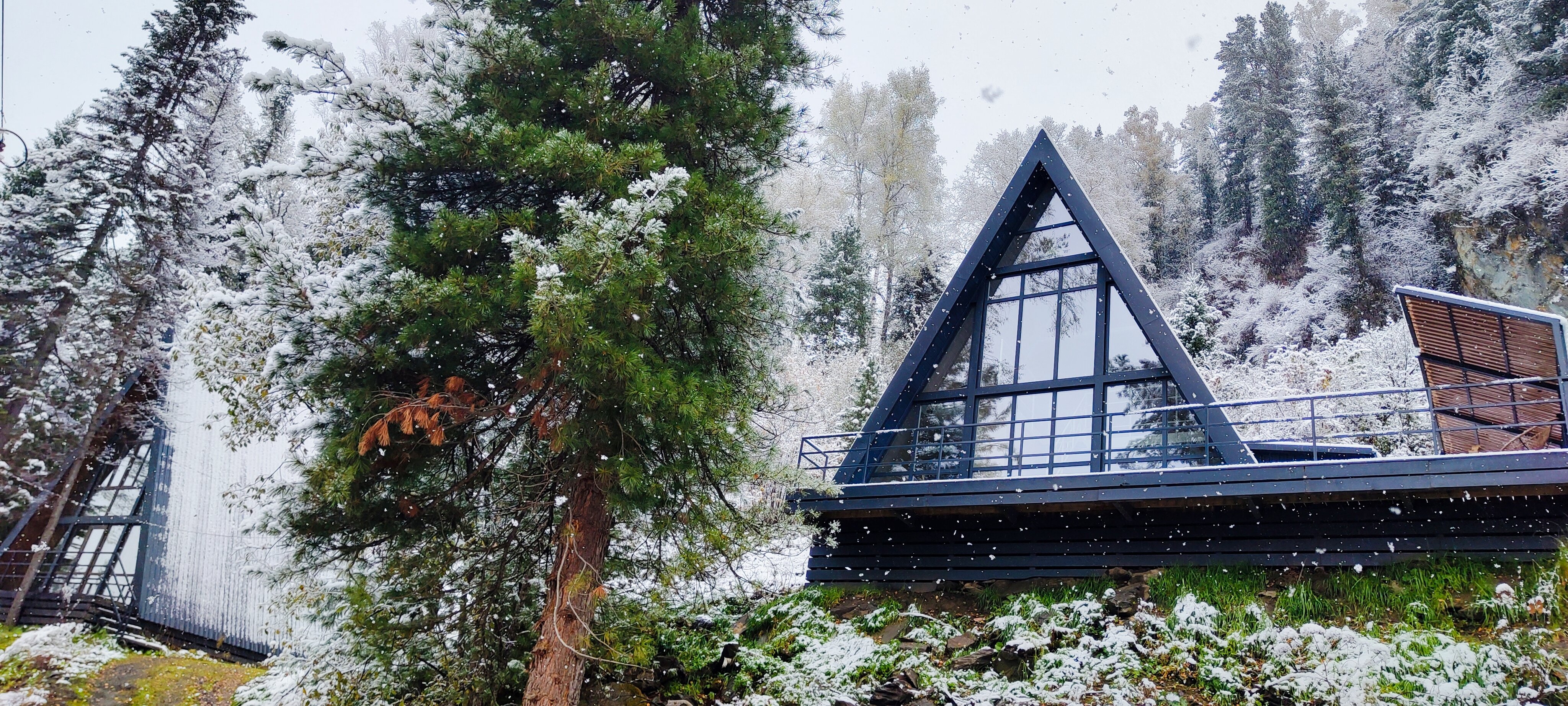 Фото Villa Roma Телецкое