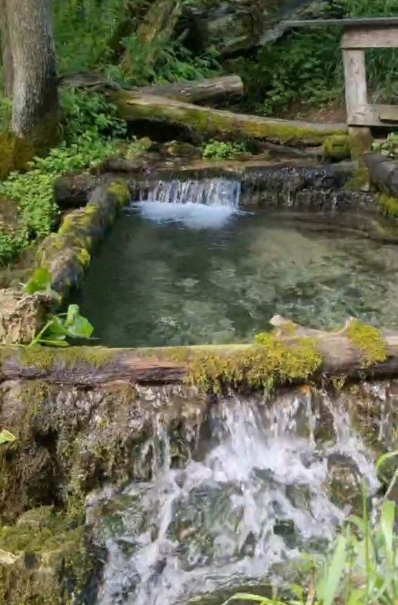 Фото Дом здоровья Кедровый