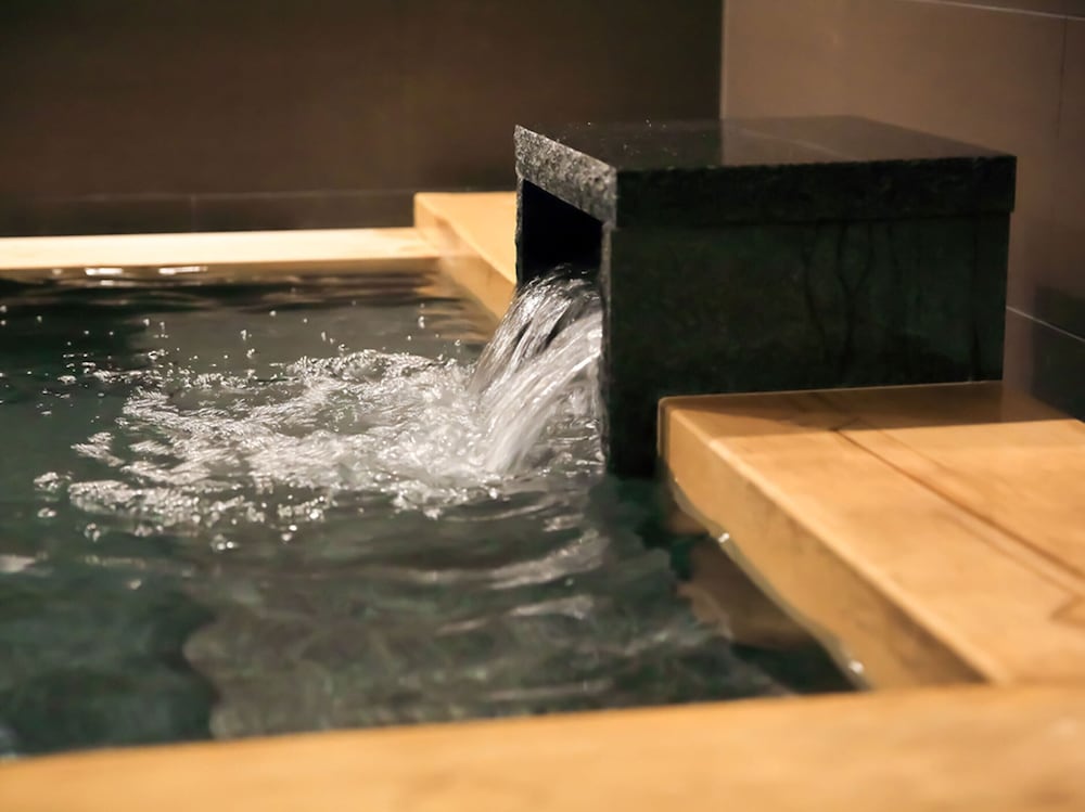 Фото Solaria Nishitetsu Hotel Kyoto Premier