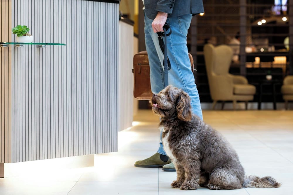 Фото Courtyard Bremen