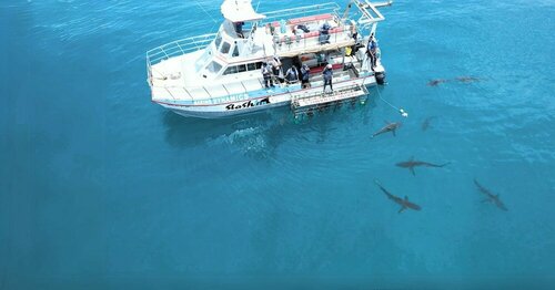 Внешний вид отеля White Shark Guest House в Муниципалитете Оверстранде, фото 2