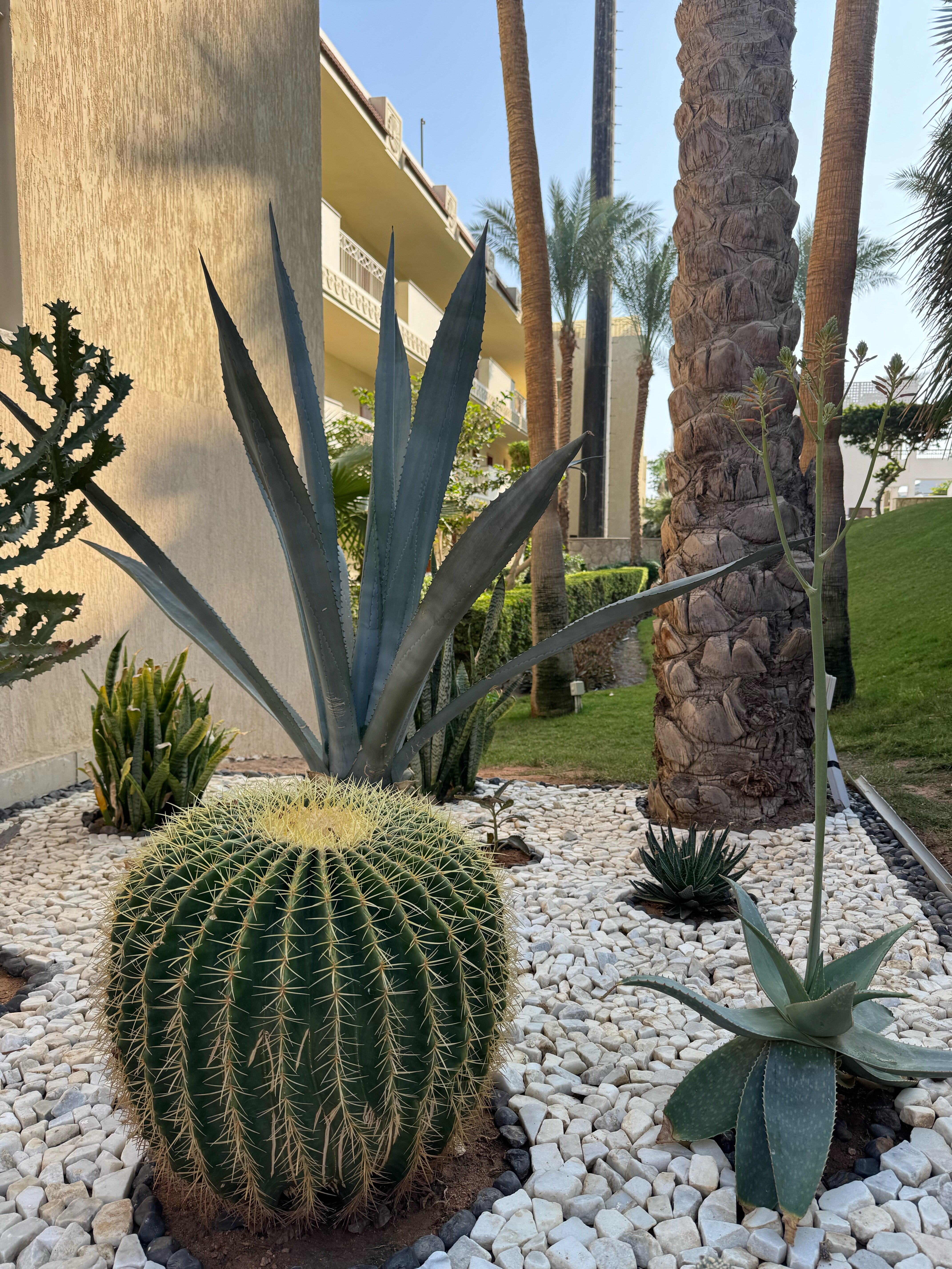 Фото Xperience Sea Breeze Resort