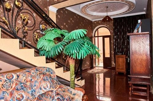 Guest House Flora - 13