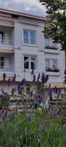 Гостиница Afilli Köşk Butik Hotel в Амасье