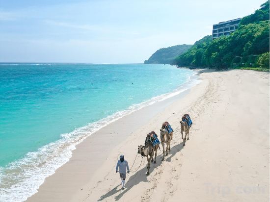 Фото Samabe Bali Suites & Villas